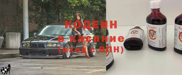 гашик Алексин