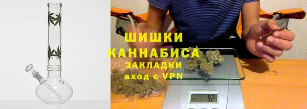 гашик Алексин