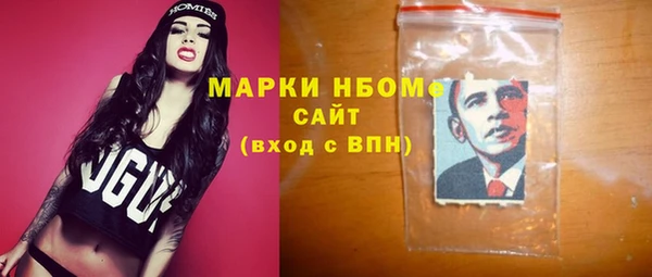 гашик Алексин