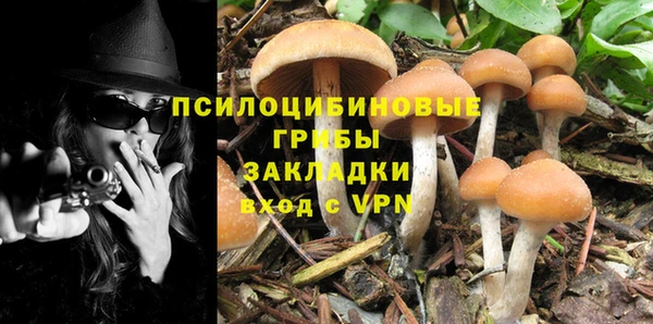 прущие крисы Алексеевка