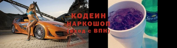 гашик Алексин