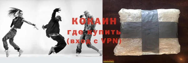 гашик Алексин