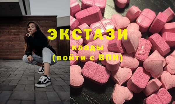 гашик Алексин