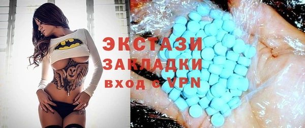 гашик Алексин