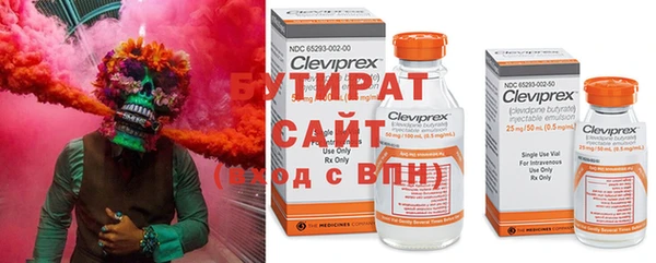 гашик Алексин
